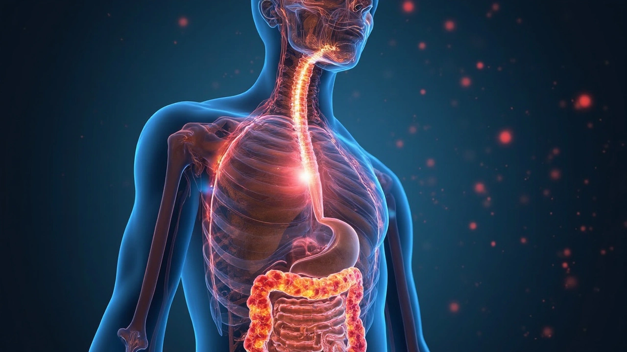 How Thyroid Hormones Impact Digestion, Transit Time, and Gut Microbiome