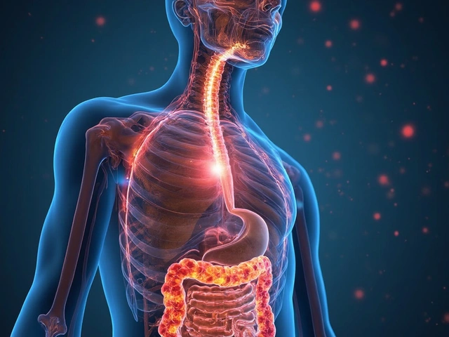 How Thyroid Hormones Impact Digestion, Transit Time, and Gut Microbiome