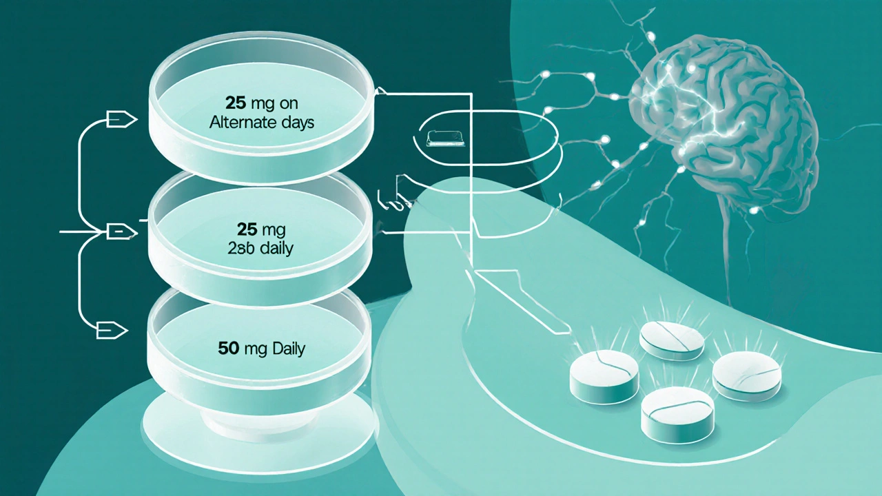 Isometric illustration of Lamictal Dispersible titration steps with dissolving tablets and brain pathways.